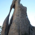 Eye of the Needle, Custer SP