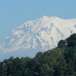 Mt. Rainier, from Tacoma