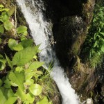 Shenandoah NP, Waterfall