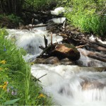 Crystal River near Crested Butte